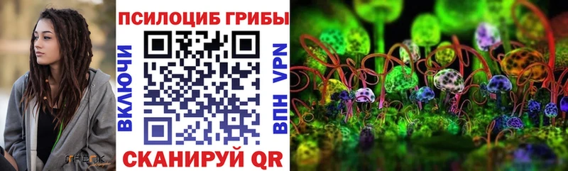 Галлюциногенные грибы Psilocybe  Луза 